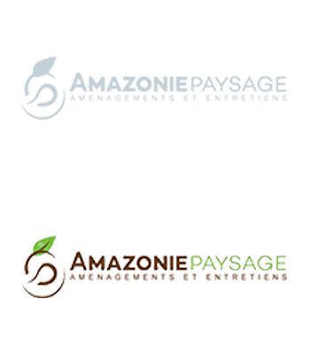 amazoniepaysage